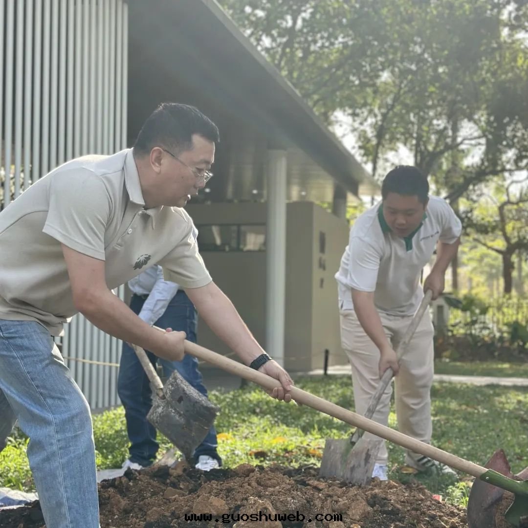 攜手(shǒu)添綠(lǜ)！荔枝公(gōng)园公(gōng)益植樹(shù)活動(dòng)圆(yuán)滿舉行