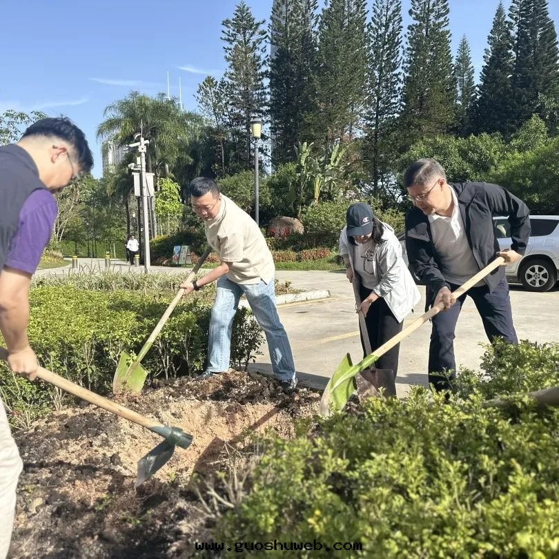 攜手(shǒu)添綠(lǜ)！荔枝公(gōng)园公(gōng)益植樹(shù)活動(dòng)圆(yuán)滿舉行