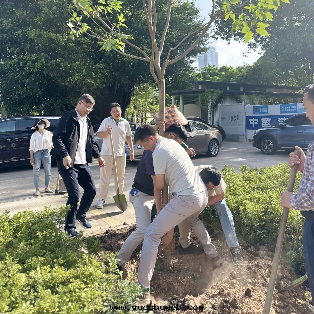 攜手(shǒu)添綠(lǜ)！荔枝公(gōng)园公(gōng)益植樹(shù)活動(dòng)圆(yuán)滿舉行