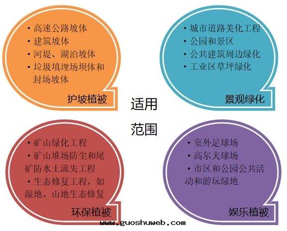 緩坡綠(lǜ)植Wood-Lok SMM