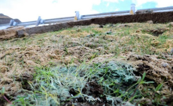 礦山(shān)及(jí)邊(biān)坡生态修复