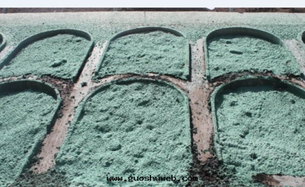 礦山(shān)及(jí)邊(biān)坡生态修复