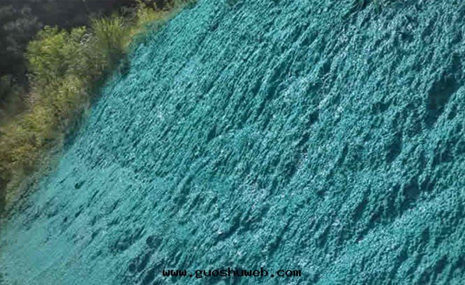 廣東(dōng)蕉嶺(lǐng)山(shān)體(tǐ)覆綠(lǜ)項目