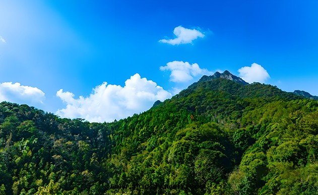 廣東(dōng)蕉嶺(lǐng)山(shān)體(tǐ)覆綠(lǜ)項目