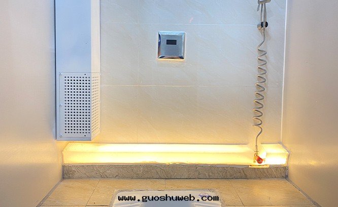 深圳龍華逸秀公(gōng)廁除臭項目