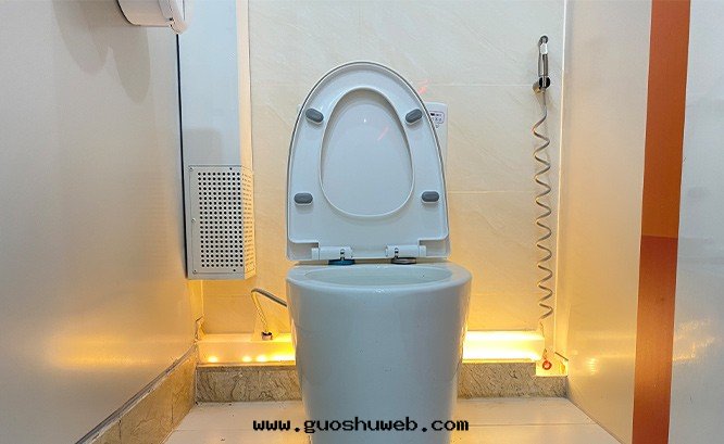 深圳龍華逸秀公(gōng)廁除臭項目