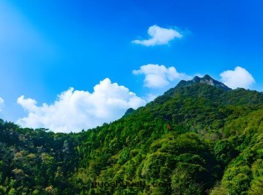 廣東(dōng)蕉嶺(lǐng)山(shān)體(tǐ)覆綠(lǜ)項目