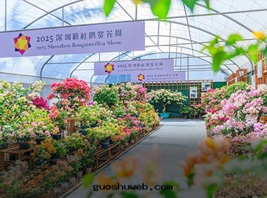 2025深圳簕杜鵑賞花(huā)周蓮花(huā)山(shān)公(gōng)園(yuán)移動(dòng)公(gōng)廁服(fú)務(wù)